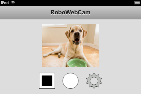 RoboWebCam Video